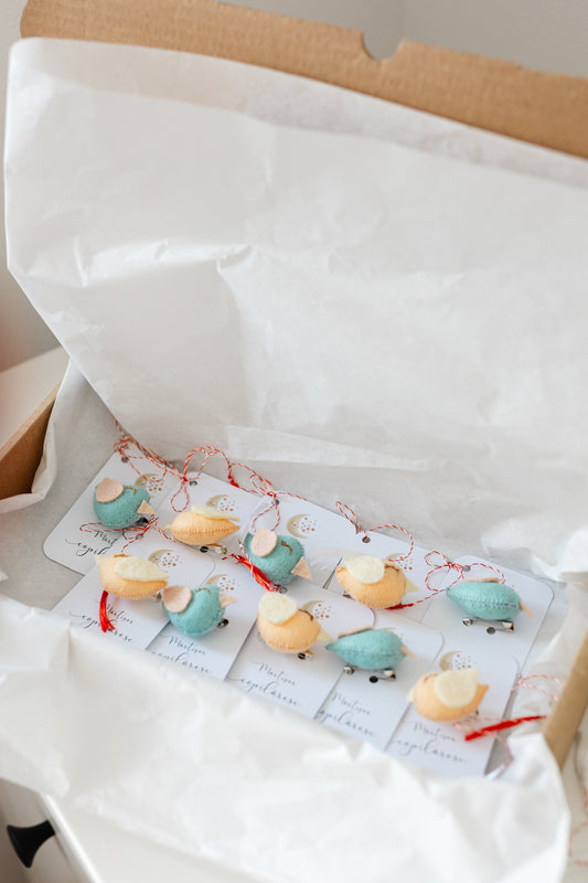 Cutie 10 martisoare gradinita "Vrabiuta magica "