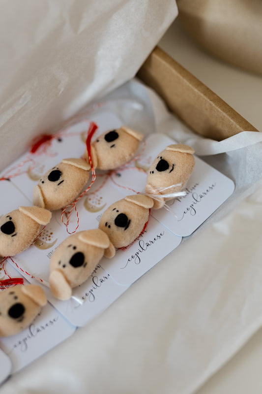 Cutie 10 martisoare "Catelusul Azorel"