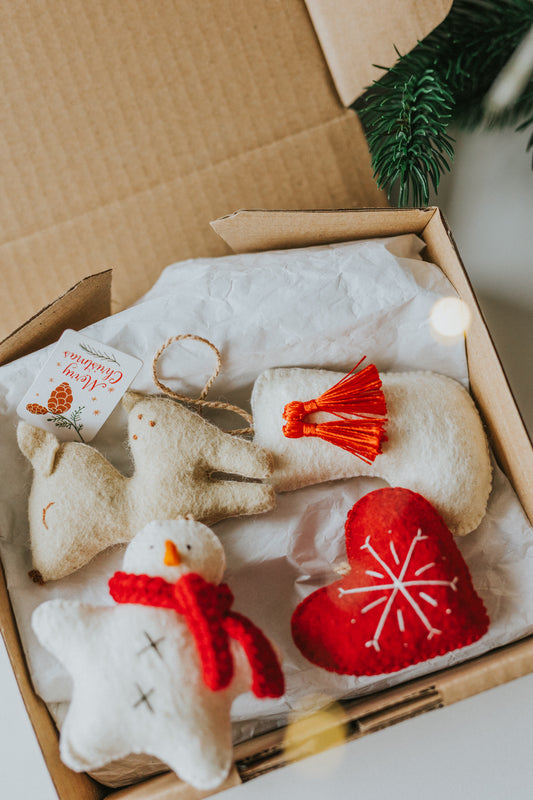 Cutie cadou " Believe in Chrismas"