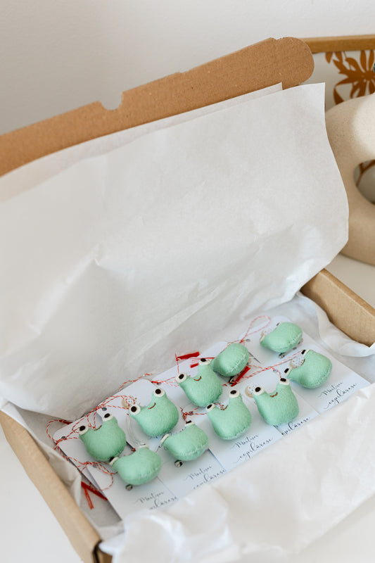 Cutie 10 martisoare"Broscuta fermecata" gradinita