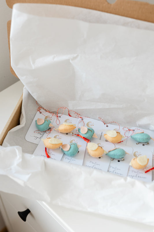 Cutie 10 martisoare gradinita "Vrabiuta magica "