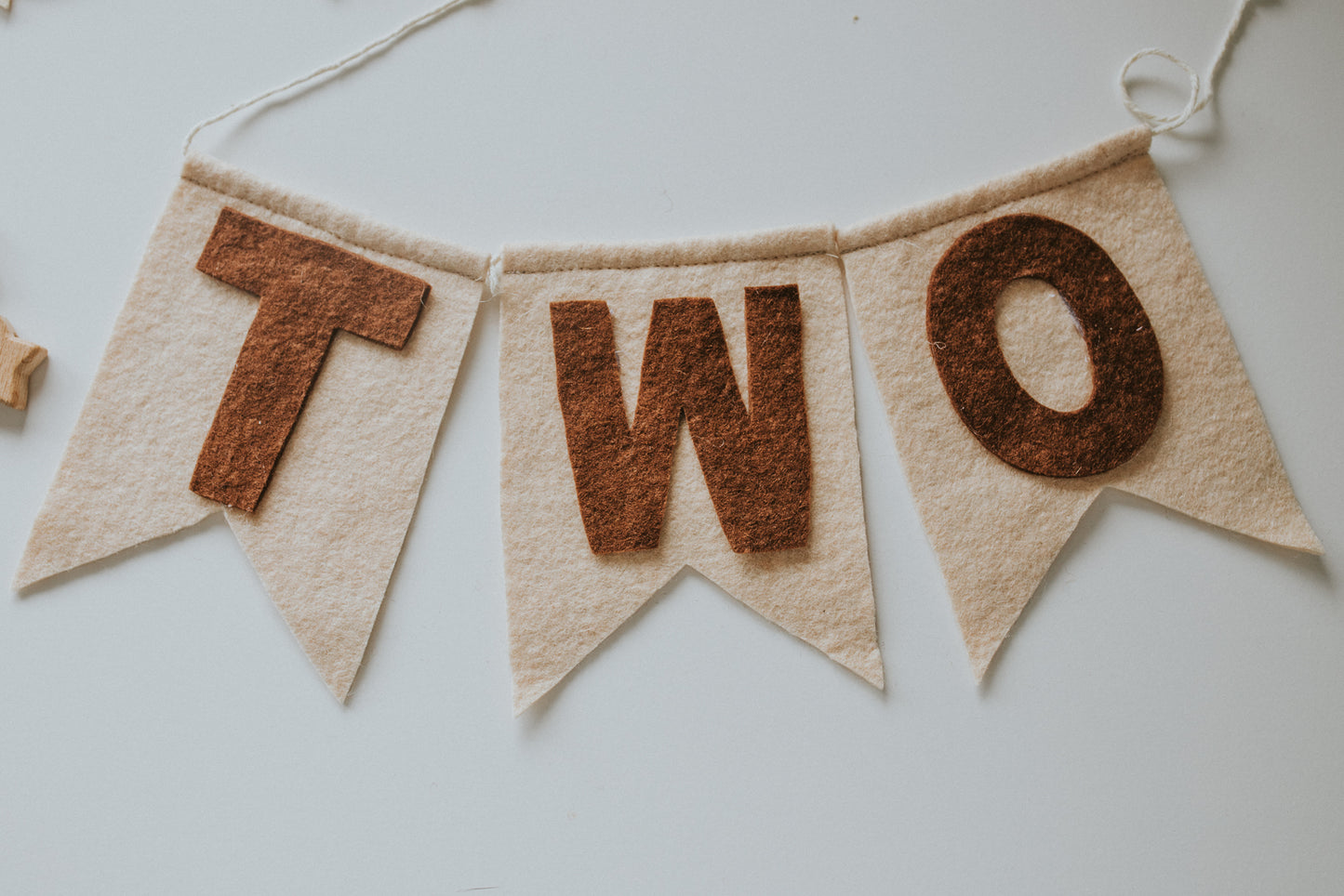 Ghirlanda petrecere "WILD TWO"