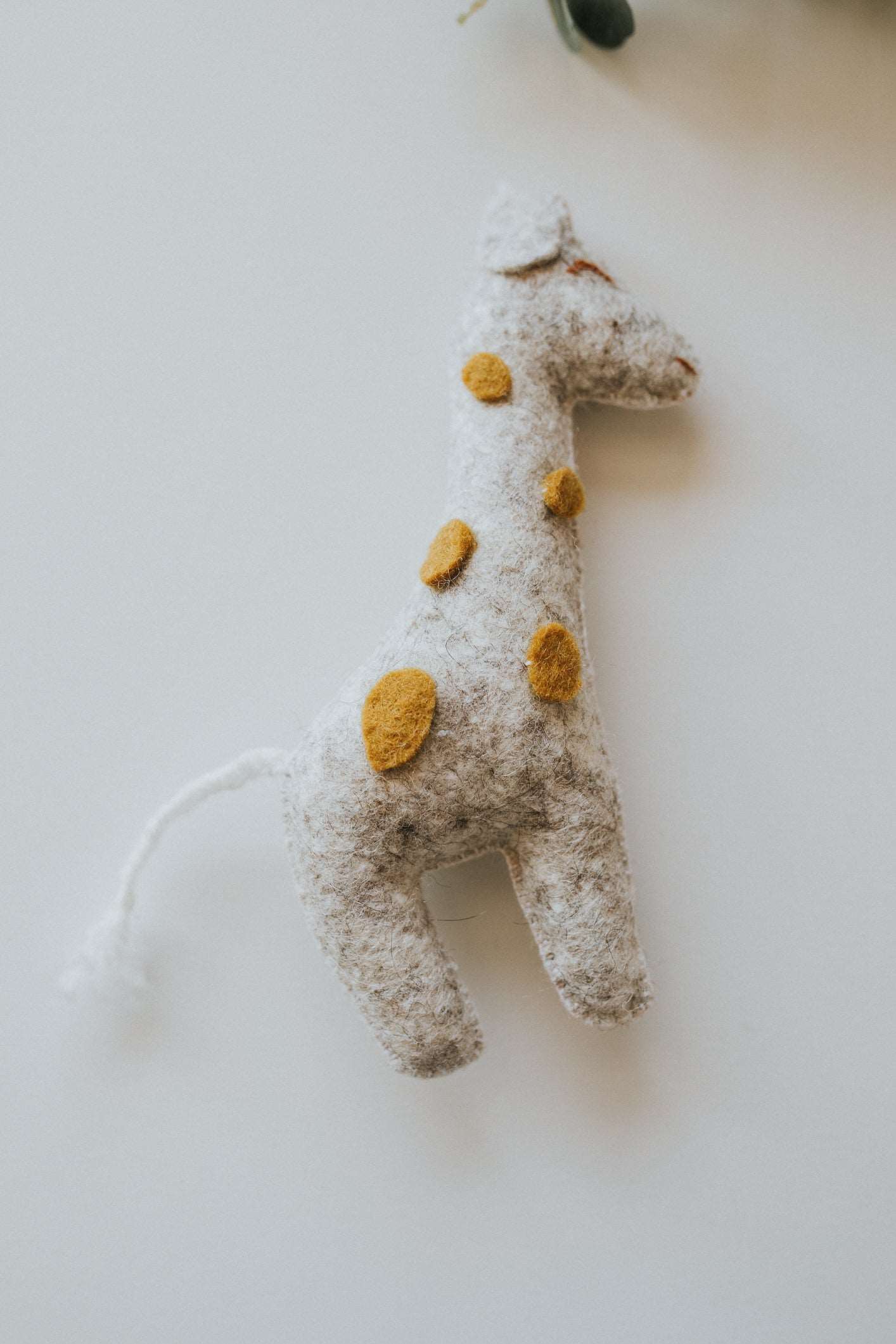 Girafa
