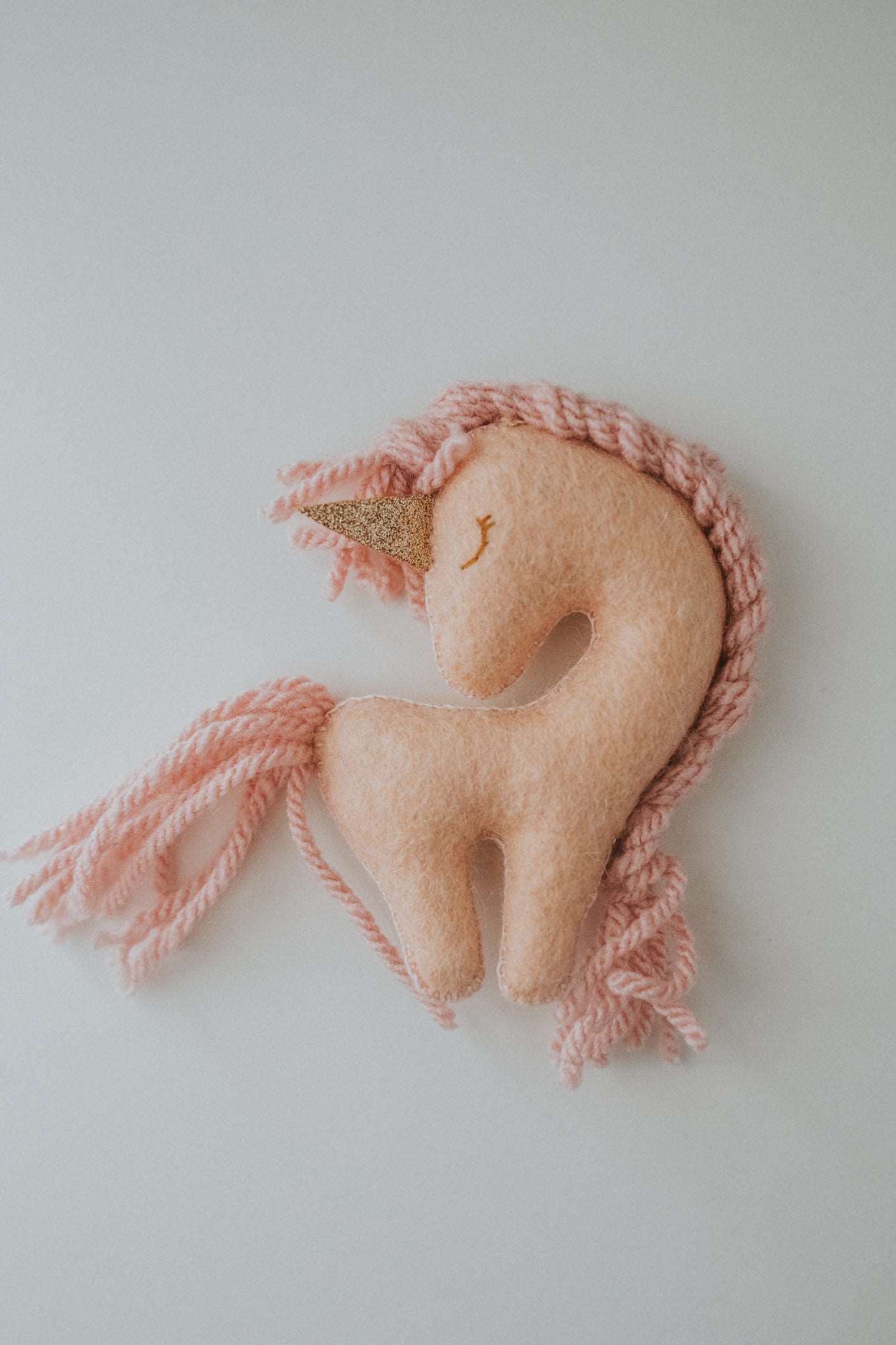 Unicorn visator