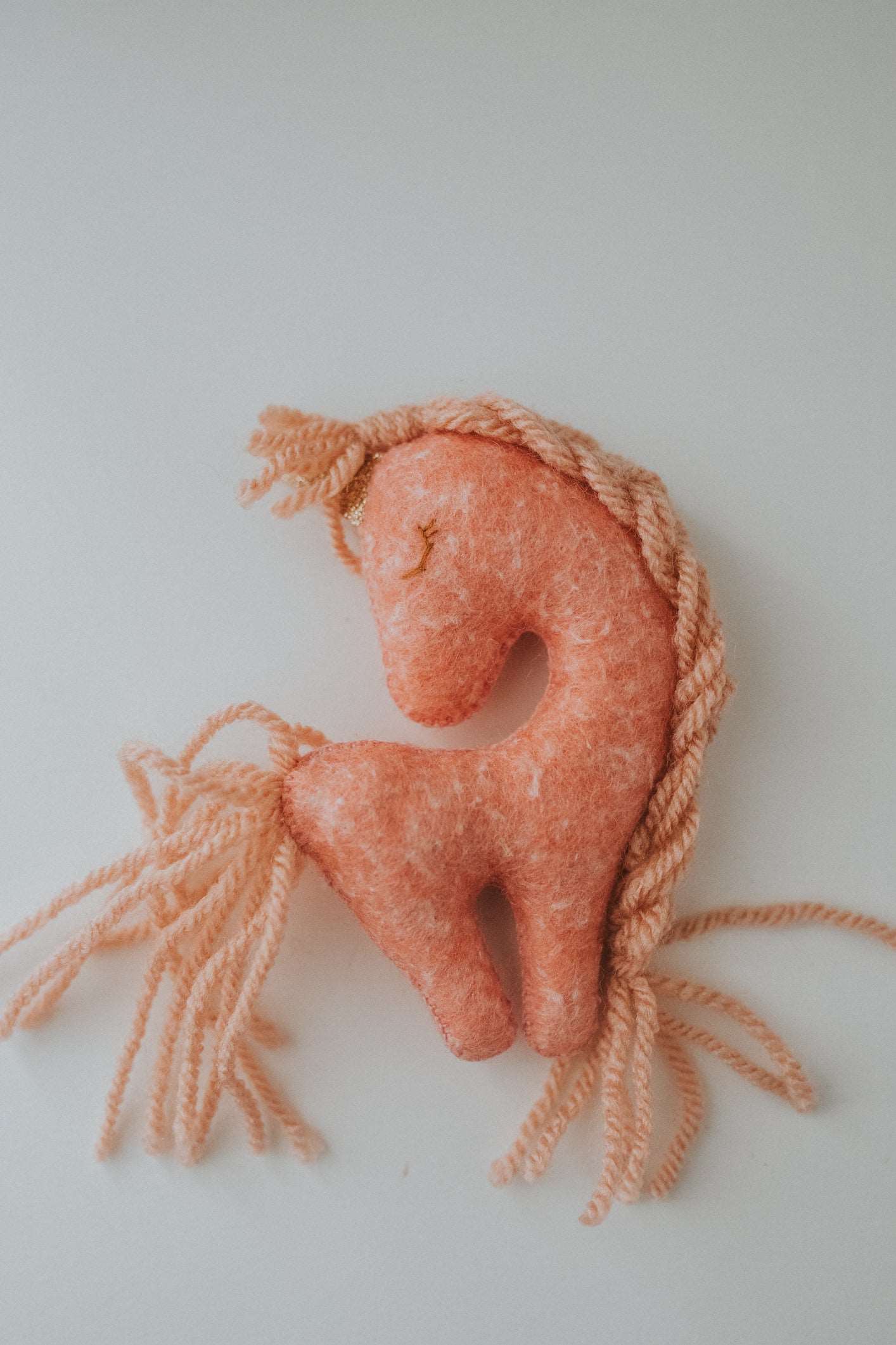 Unicorn visator