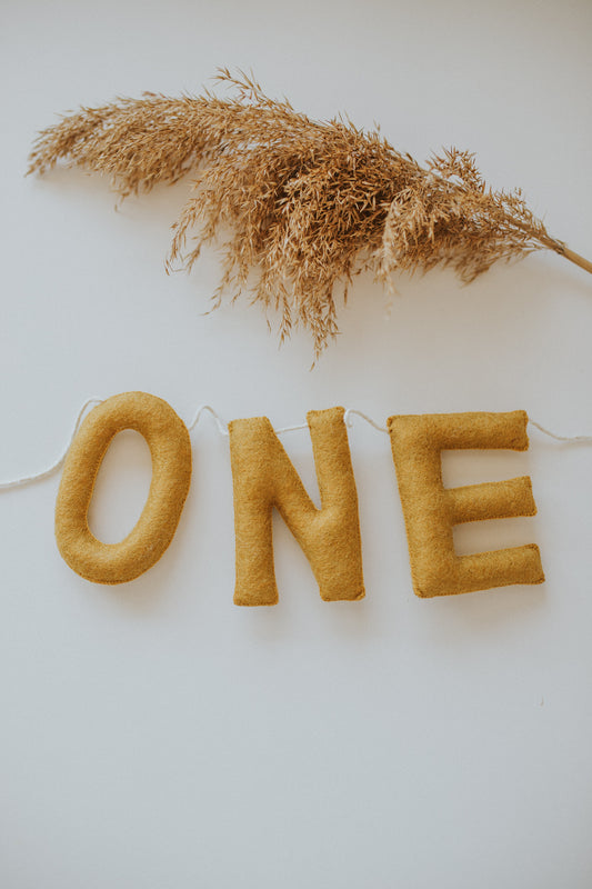 Ghirlanda aniversara "One"