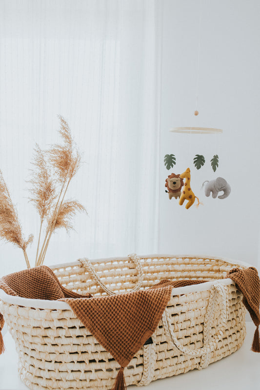 Carusel mobil " Jungle friends "