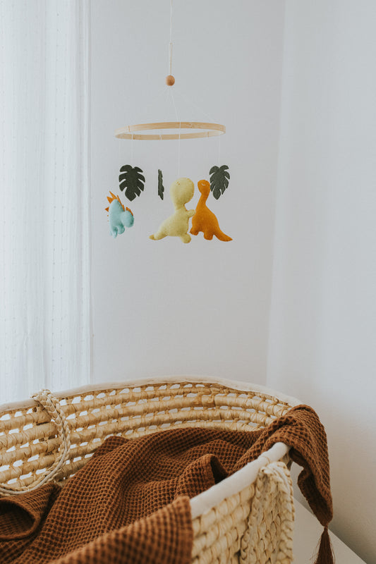 carusel muzical baieti