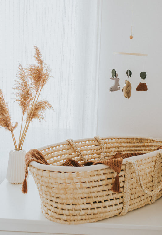 Carusel mobil " Woodland "