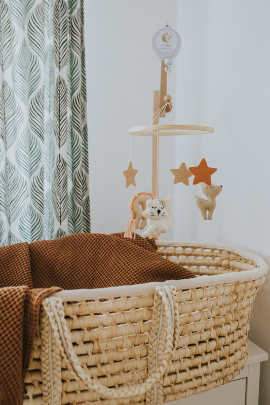 carusel muzical fetite