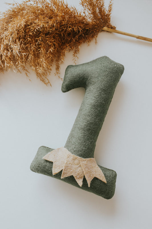 Cifra aniversara "One"