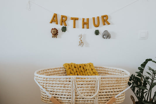 Ghirlanda cu nume "Explore Safari"