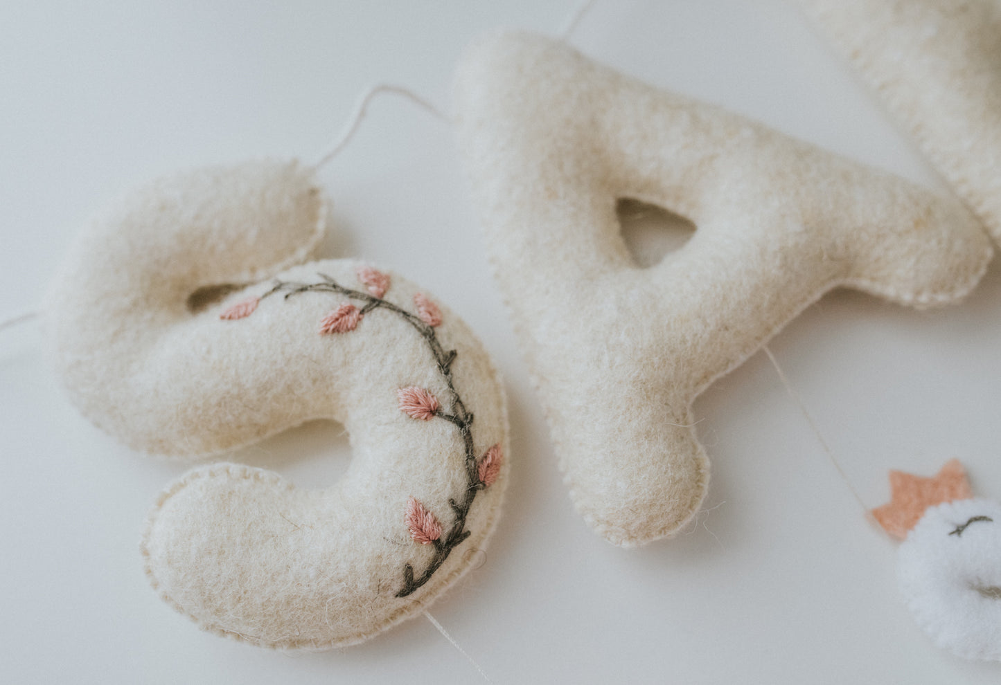 Ghirlanda nume " Sweet swan "