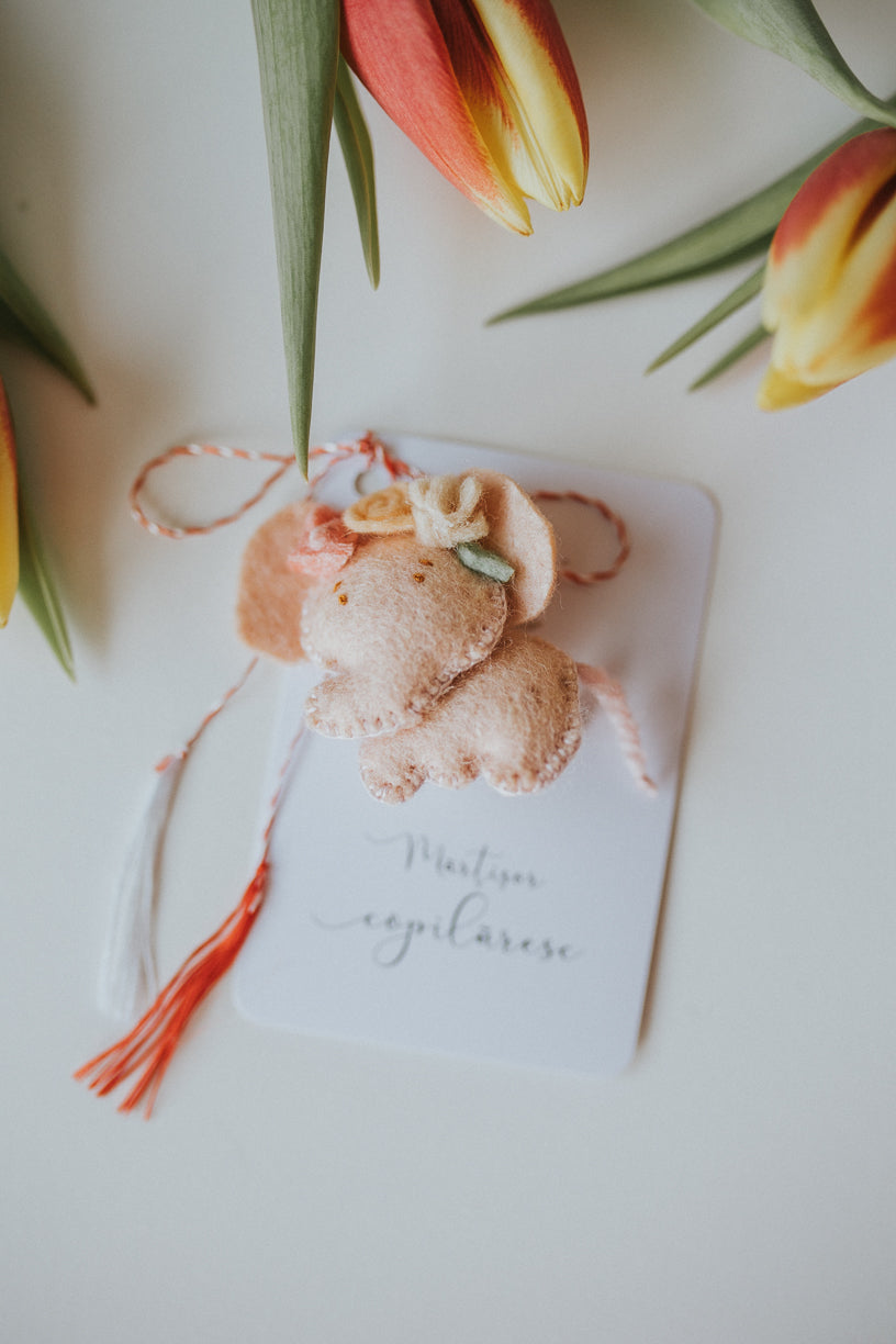 COLECTIA DE MARTISOARE